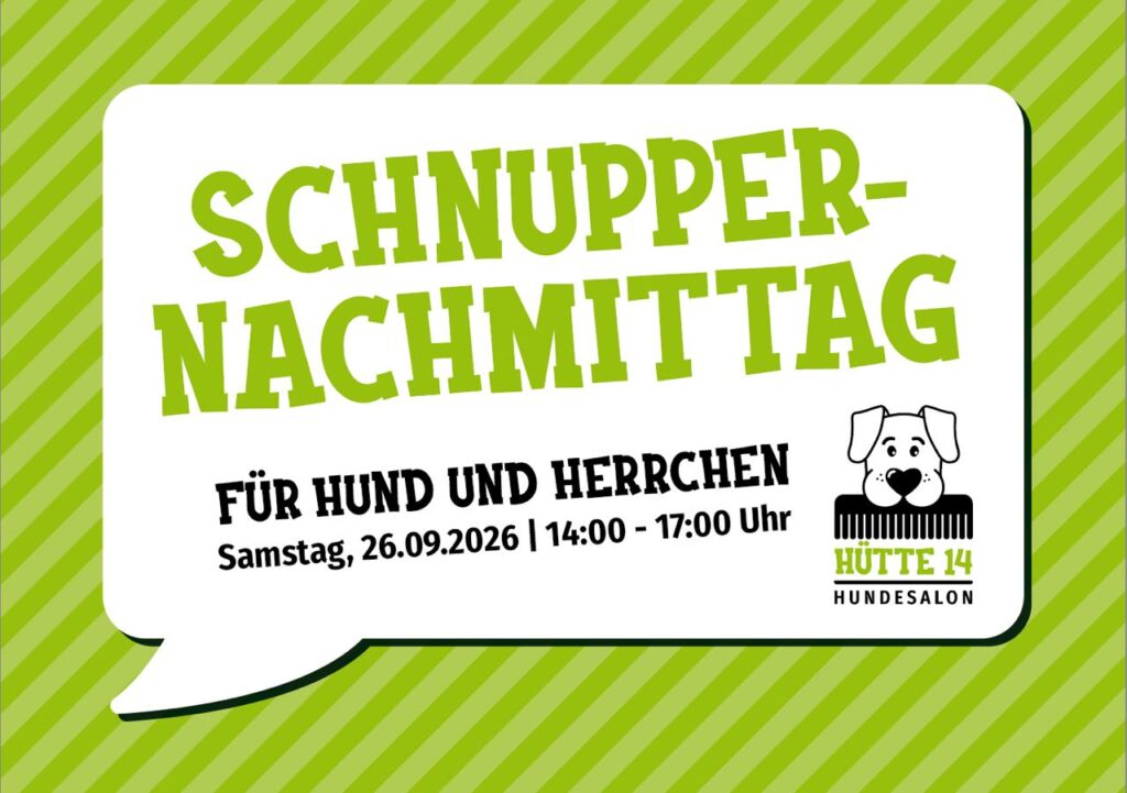 schnupper-nachmittag 2026